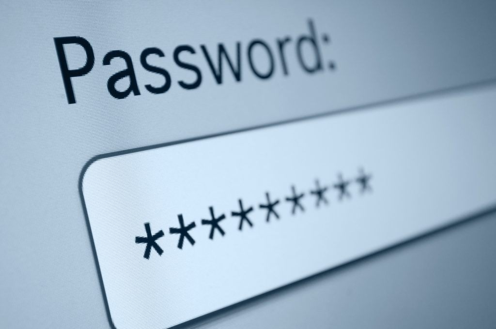 close-up of a secure password entry field with a modern design and privacy features.