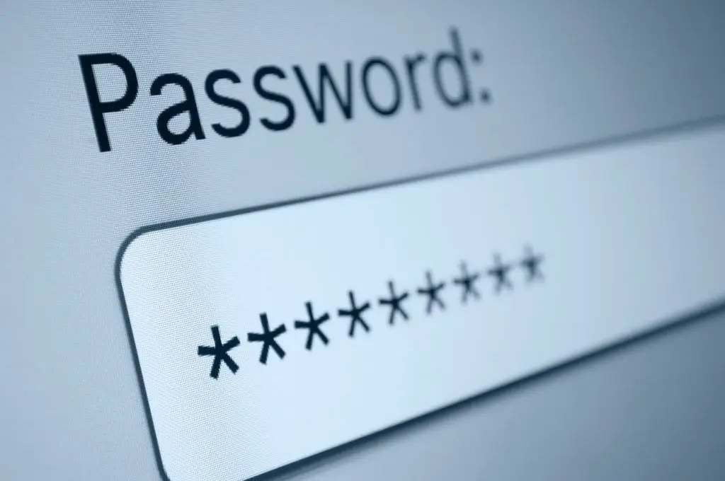 It'S Time To Revisit Your Password Best Practices 2 close-up of a secure password entry field with a modern design and privacy features.