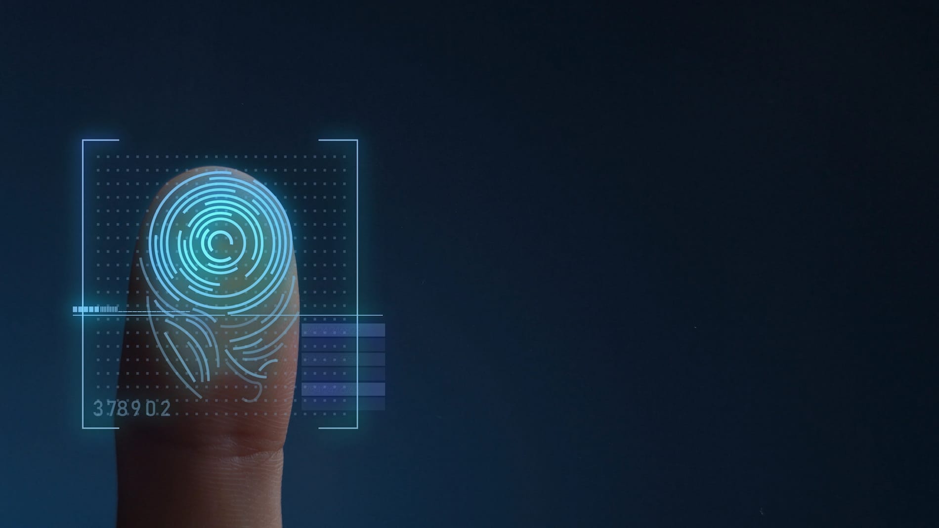 Finger Print Biometric Scanning Identification System