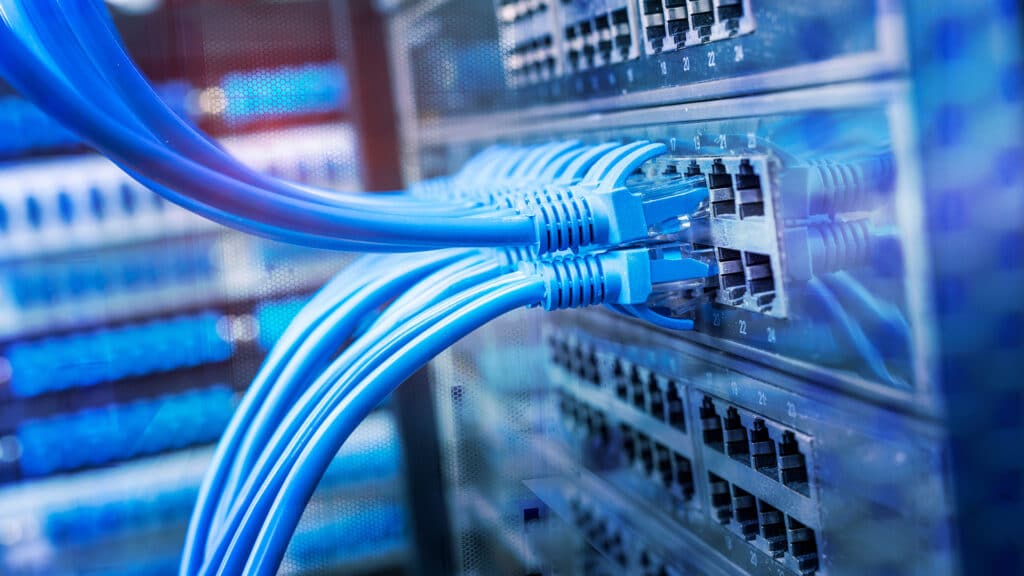 blue ethernet cables neatly arranged in a modern network switch setup for efficient connectivity.